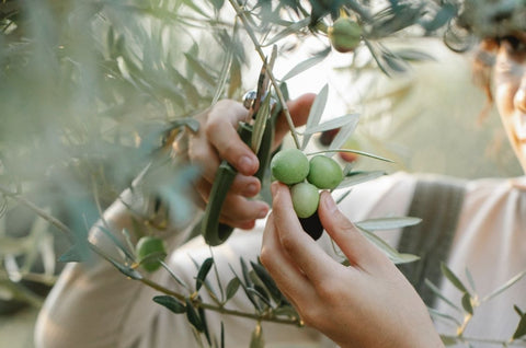 Pourquoi le prix de l’huile d’olive a explosé? - Cuisine d'Espagne